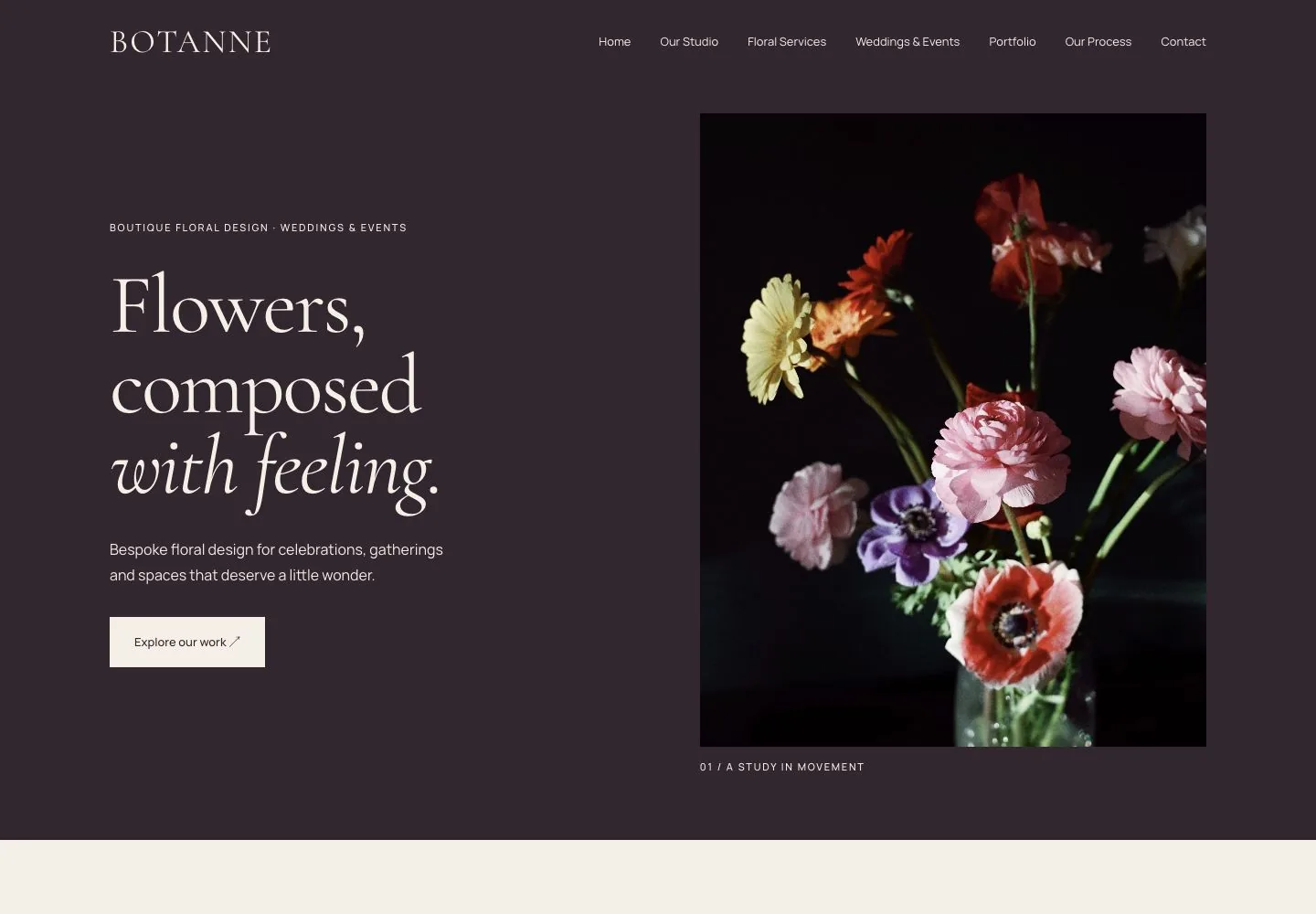 BOTANNE original Zaii Studio concept — desktop website preview